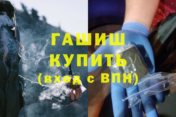 индика Белокуриха