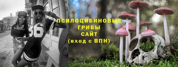 индика Белокуриха