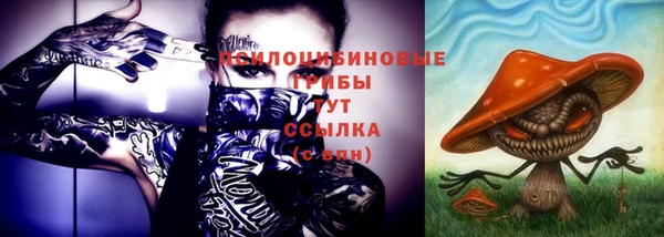 гидропоника Володарск