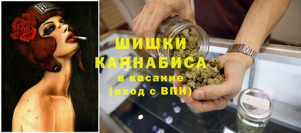 гидропоника Володарск