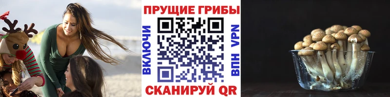 Псилоцибиновые грибы ЛСД  KRAKEN ТОР  Билибино 